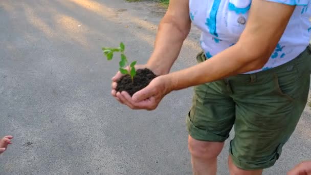 Γιαγιά Και Παιδί Κρατούν Ένα Φυτό Στα Χέρια Τους Επιλεκτική — Αρχείο Βίντεο