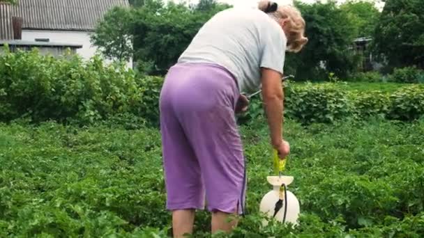 Processar Batatas Jardim Foco Seletivo Natureza — Vídeo de Stock