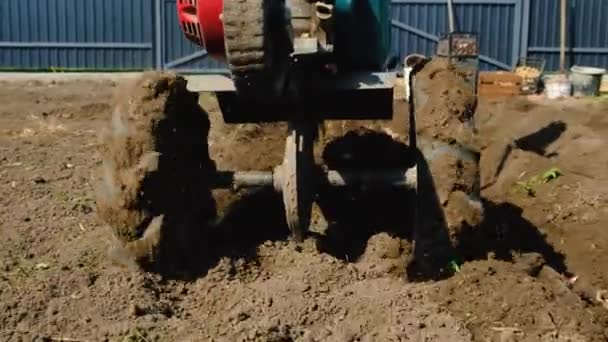 Een Tractor Plant Aardappelen Tuin Selectieve Focus Natuur — Stockvideo