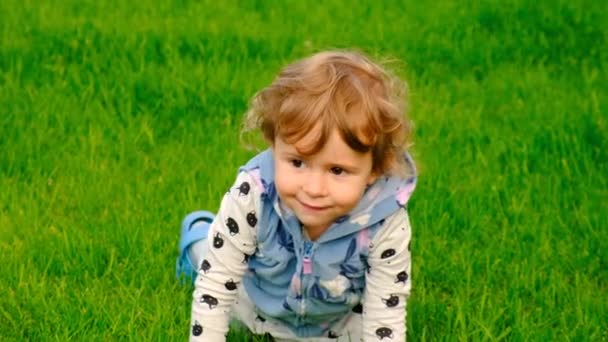 Kind Speelt Het Park Het Gras Selectieve Focus Jongen — Stockvideo