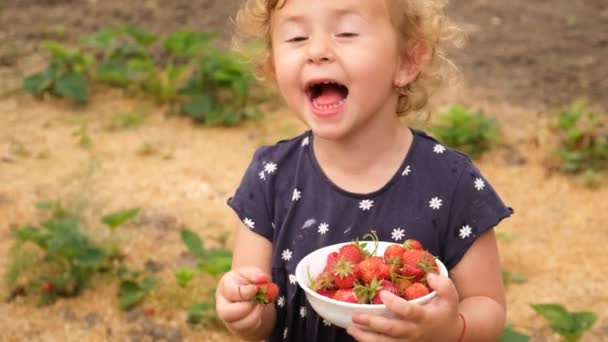 Дитина Вибирає Полуницю Саду Вибірковий Фокус Їжа — стокове відео