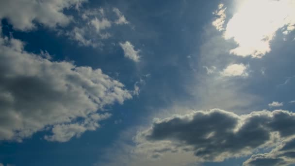 Scheint Die Sonne Himmel Selektiver Fokus Natur — Stockvideo
