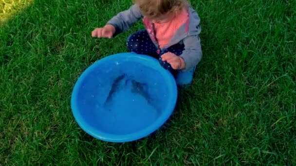 子供はボウルで魚と遊んでいる 選択的な焦点 キッド キッド — ストック動画