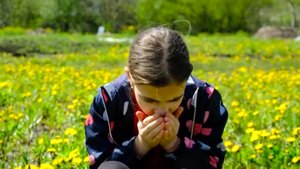 Criança Alérgica Flores Foco Seletivo Miúdo — Vídeo de Stock
