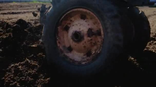 Egy Traktor Burgonyát Ültet Kertben Szelektív Fókusz Természet — Stock videók