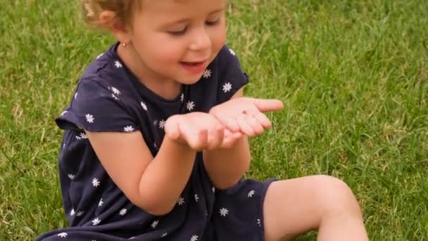 Child Holds Ladybug Garden Selective Focus Nature — Stock Video
