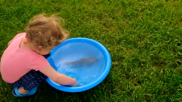 Uma Criança Brinca Com Peixes Uma Tigela Foco Seletivo Miúdo — Vídeo de Stock