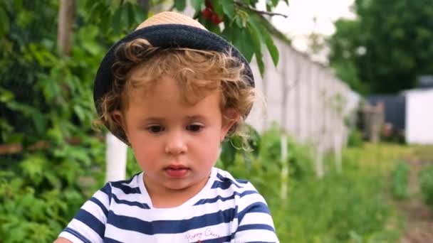 庭で子供がチェリーを収穫する 選択的フォーカス 食べ物 — ストック動画