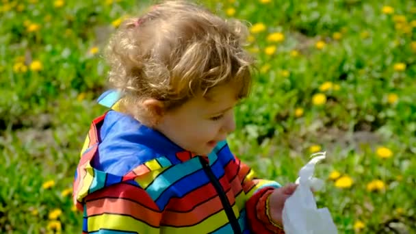 Das Kind Reagiert Allergisch Auf Blumen Selektiver Fokus Kind — Stockvideo