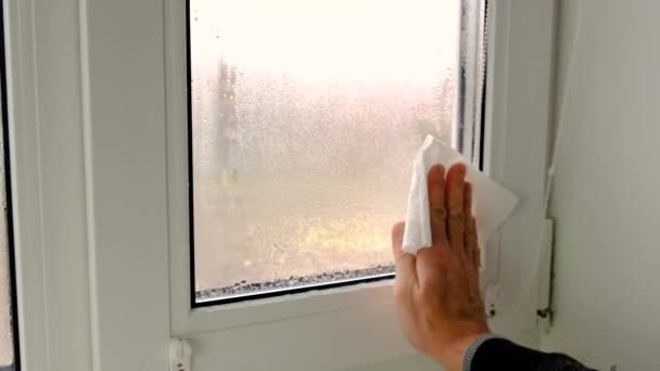 Essuyez Condensation Sur Fenêtre Concentration Sélective Nature — Video