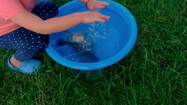 Een Kind Speelt Met Vis Een Kom Selectieve Focus Jongen — Stockvideo