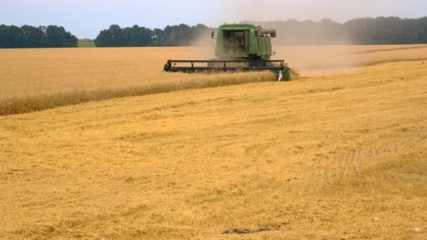 Erntemaschine Erntet Weizen Auf Dem Feld Selektiver Fokus Lebensmittel — Stockvideo
