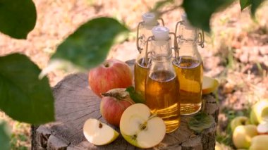 Bahçe arka planında elma sirkesi. Seçici odaklanma. yiyecek.