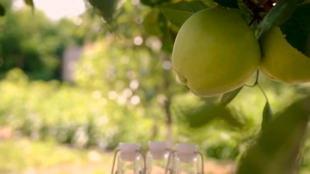 Vinaigre Cidre Pomme Sur Fond Jardin Concentration Sélective Produits Alimentaires — Video