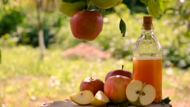 Яблучний Сидр Оцет Садовому Фоні Вибірковий Фокус Їжа — стокове відео