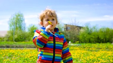Çocuğun çiçeklere alerjisi var. Seçici odaklanma. Çocuk.