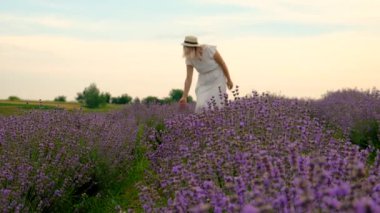 Lavanta tarlasında bir kadın. Seçici odaklanma. insanlar.