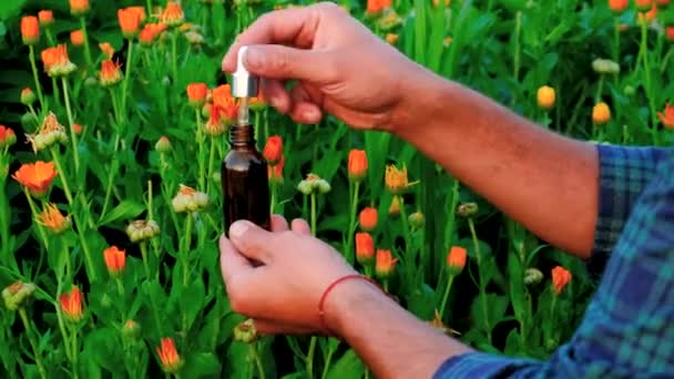 Мужчина Лекарственными Растительными Экстрактами Руках Выборочный Фокус Природа — стоковое видео