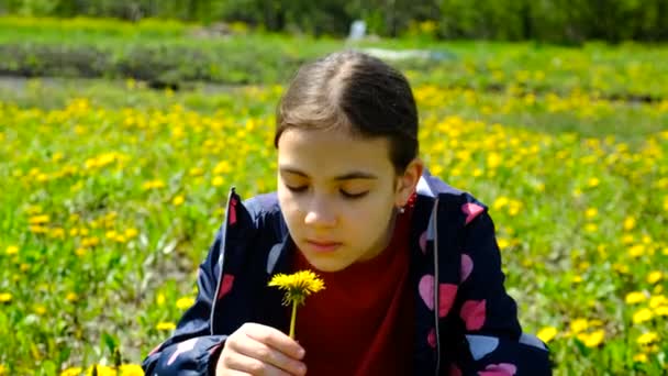 Dziecko Jest Uczulone Kwiaty Wybiórcze Skupienie Dzieciaku — Wideo stockowe
