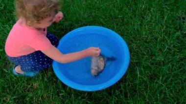 Bir çocuk kasedeki balıkla oynar. Seçici odaklanma. Çocuk.