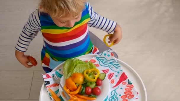 Bambino Mangia Verdure Tavola Concentrazione Selettiva Alimenti — Video Stock