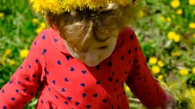 Bir çocuk elinde büyüteçle karahindiba çiçeklerine bakar. Seçici odaklanma. Çocuk.