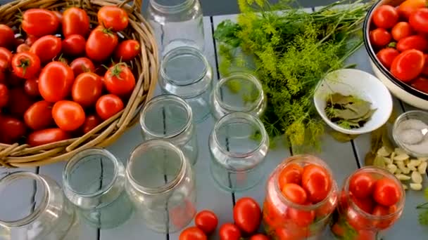 Preservation Tomatoes Jars Selective Focus Food — Stock Video