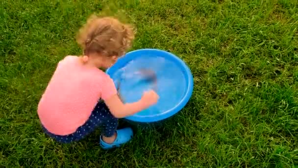 小孩在碗里玩鱼 有选择的重点 — 图库视频影像