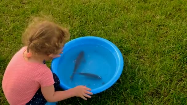 Ett Barn Leker Med Fisk Skål Selektivt Fokus Grabben — Stockvideo