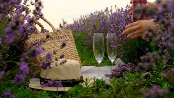 在薰衣草地里品酒野餐 有选择的重点 — 图库视频影像