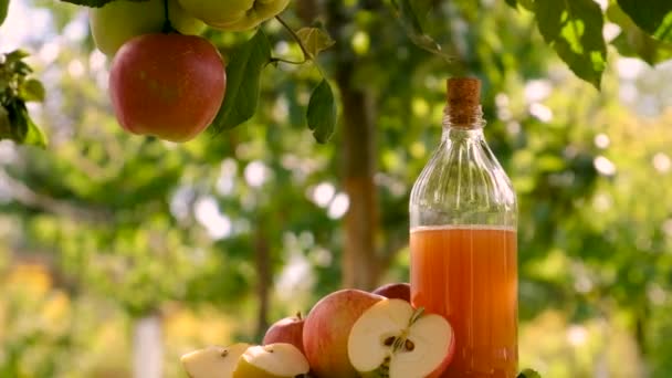 Vinaigre Cidre Pomme Sur Fond Jardin Concentration Sélective Produits Alimentaires — Video