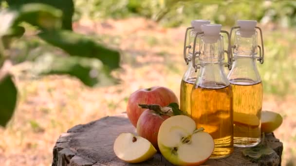 Bahçe Arka Planında Elma Sirkesi Seçici Odaklanma Yiyecek — Stok video