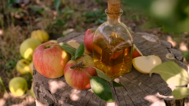Apple Cider Vinegar Garden Background Selective Focus Food — Stock Video