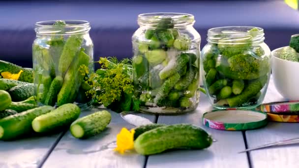 Conservering Van Komkommers Potten Selectieve Focus Levensmiddelen — Stockvideo