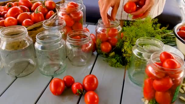 Preservation Tomatoes Jars Selective Focus Food — Stock Video