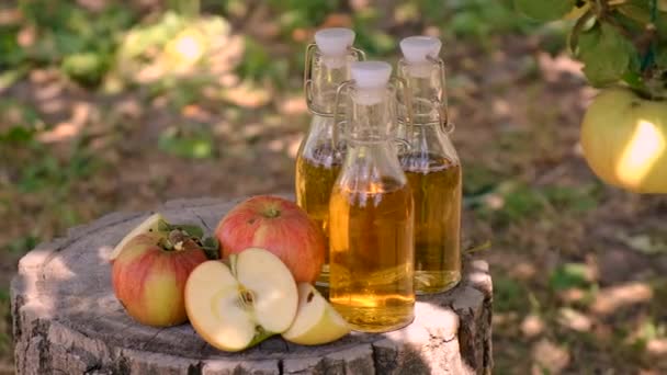 Cuka Sari Apel Pada Latar Belakang Taman Fokus Selektif Makanan — Stok Video