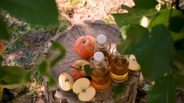 Äppelcidervinäger Trädgård Bakgrund Selektivt Fokus Livsmedel — Stockvideo