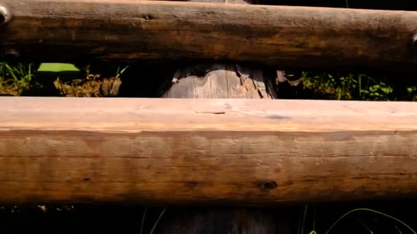 Velhos Degraus Madeira Natureza Foco Seletivo — Vídeo de Stock