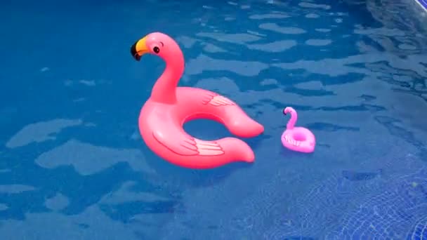 Ett Barn Simmar Cirkel Flamingos Poolen Selektivt Fokus Unge — Stockvideo