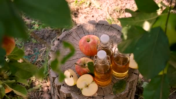 Jablečný Ocet Zahradním Pozadí Selektivní Soustředění Jídlo — Stock video