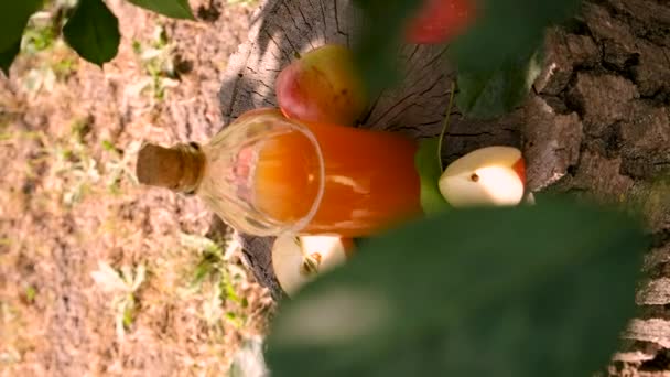 Bahçe Arka Planında Elma Sirkesi Seçici Odaklanma Yiyecek — Stok video