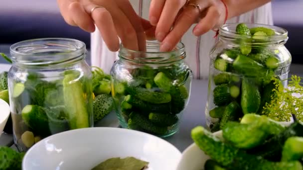 在罐子里保存黄瓜 有选择的重点 — 图库视频影像