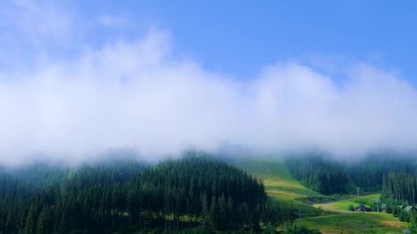 Niebla Sobre Las Montañas Enfoque Selectivo Naturaleza — Vídeo de stock