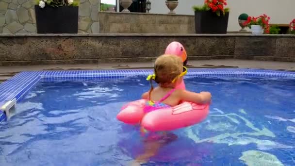 Дитина Плаває Колі Фламінго Басейні Вибірковий Фокус Дитина — стокове відео