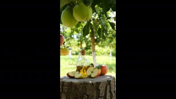 Натуральный Яблочный Уксус Саду Избирательный Фокус Природа — стоковое видео