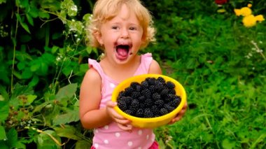 Bir çocuk bahçede böğürtlen yiyor. Seçici odaklanma. çocuk.