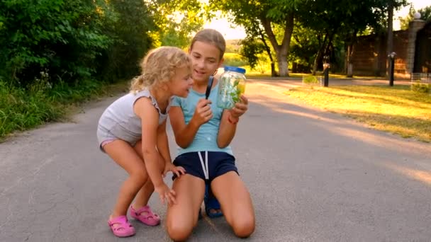 Dzieci Patrzą Przez Szkło Powiększające Naturze Selektywne Skupienie Dziecko — Wideo stockowe