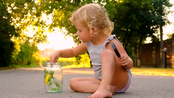 Kinderen Kijken Door Een Vergrootglas Natuur Selectieve Focus Jongen — Stockvideo