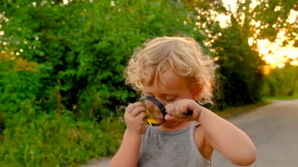Los Niños Miran Través Una Lupa Naturaleza Enfoque Selectivo Niño — Vídeos de Stock