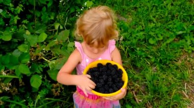 Bir çocuk bahçede böğürtlen yiyor. Seçici odaklanma. çocuk.